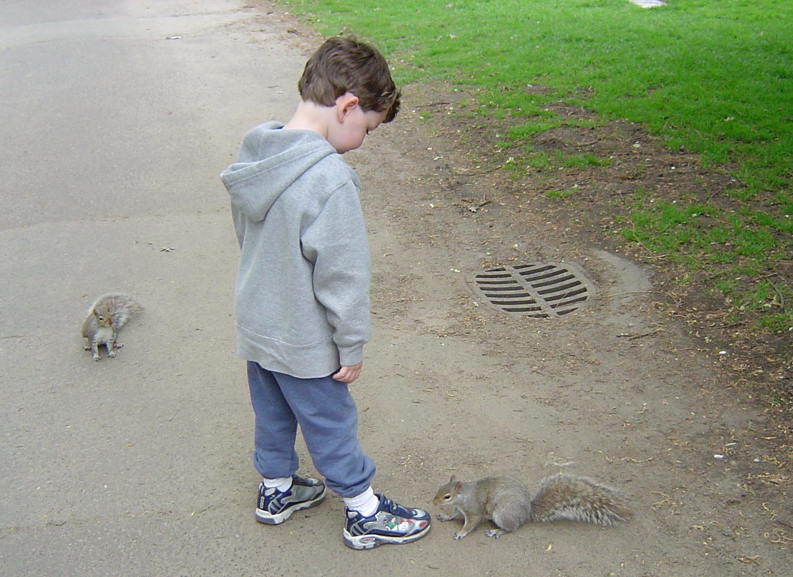 Sam, squirrels, Boston