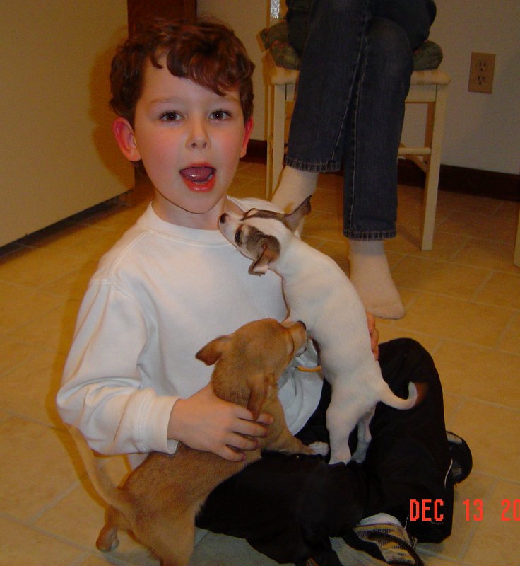 Sam, puppies (Reggie on left)