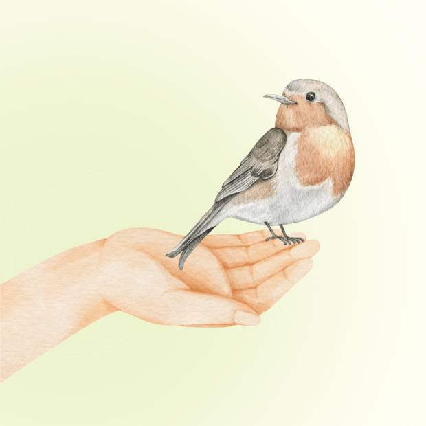 bird on hand